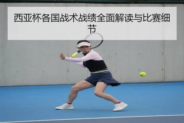 西亚杯各国战术战绩全面解读与比赛细节